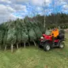 300 New Seasonal Pieces: Artificial Trees, Wreaths, Ornaments & Lights
